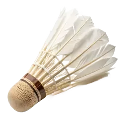 Imagen PNG para descargar